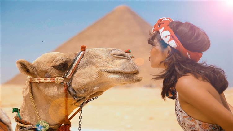 Egyptian Sun Tours